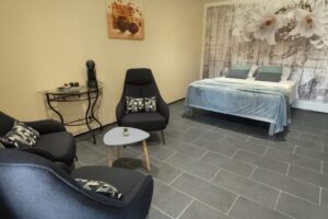 martizay-bed-and-breakfast-room-4